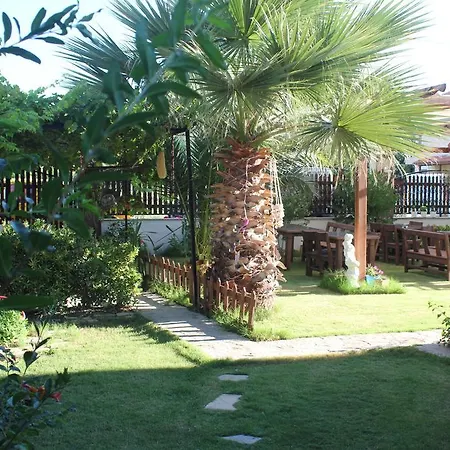 Ada 住宿加早餐酒店