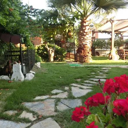 Ada 住宿加早餐酒店