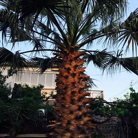 住宿加早餐酒店 Ada 2*