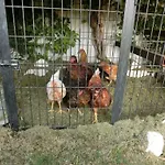 Ada Bed and Breakfast