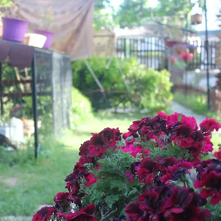 לינה וארוחת בוקר Ada 2*