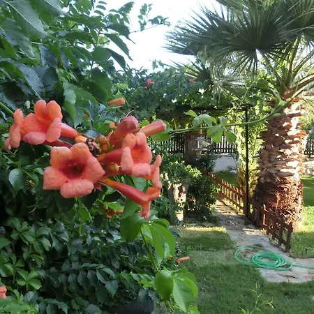 לינה וארוחת בוקר Ada 2*