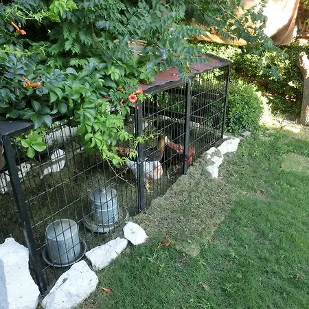 Ada לינה וארוחת בוקר