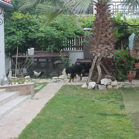 Ada 2* Çeşme
